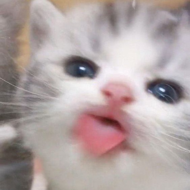 ๐๐๐๐๐ฅ๐ข๐ก๐ง๐ข๐