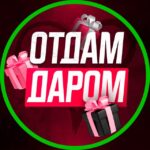 ОТДАМ ДАРОМ. Владивосток.
