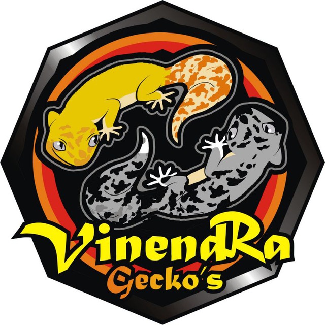 🦎Vinendra Reptile Lelang🦎