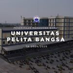 INFO PMB UPB TA 2024/2025