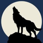 Black Werewolf Announcements
