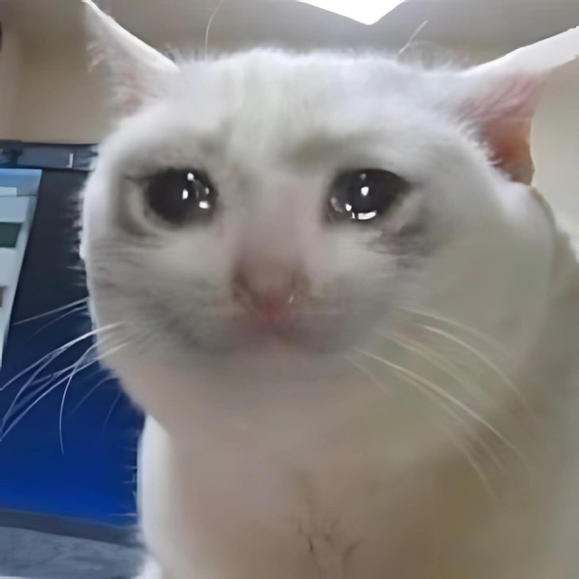 Crying Cat $CRY Portal