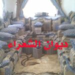 ديوان الأدب والشعر