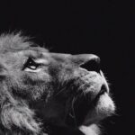 OSEMGROUPFOLLOWERS.COM