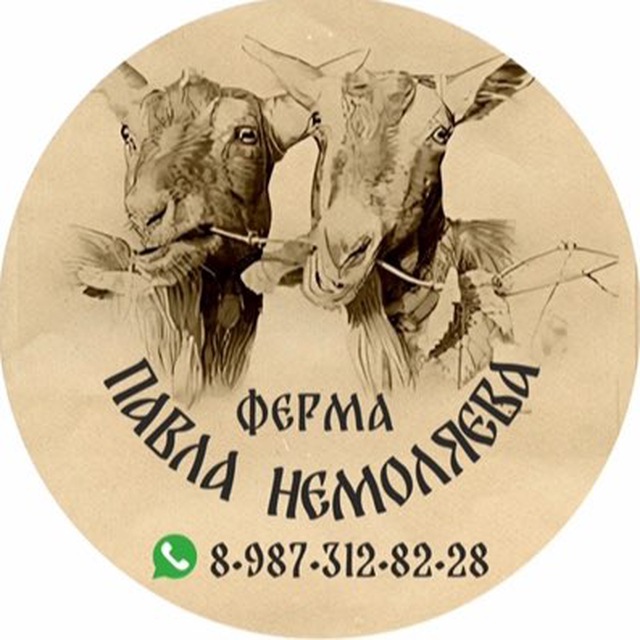 ПАВЕЛ НЕМОЛЯЕВ