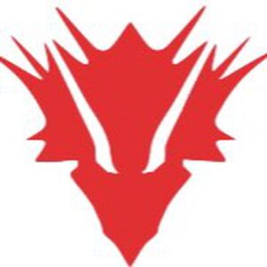 DragonStore.it