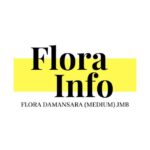 Flora Damansara (Medium) JMB