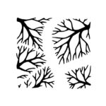 Forestforum - лесной канал