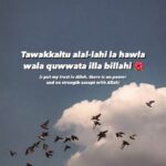 Manhaj of the Salaf