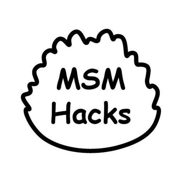 MSM Hacks