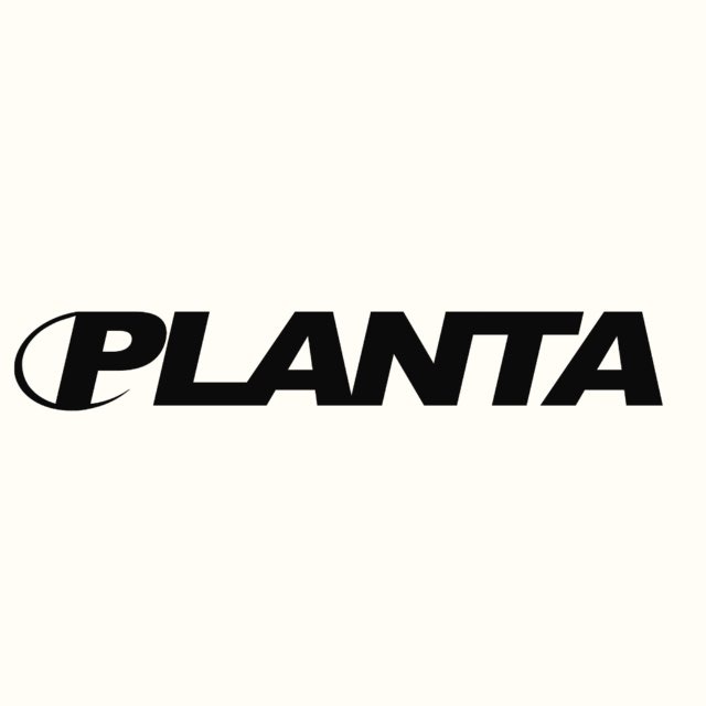 PLANTAROSA.JPG