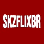 📢 SKZFLIXBR 📢