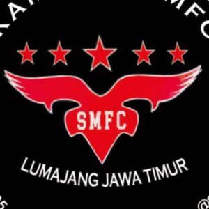 Video ayam smfc factory