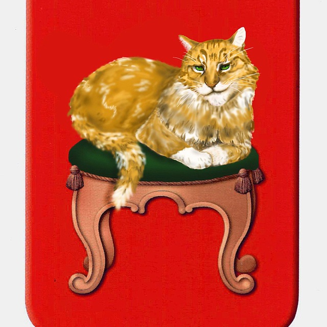 Все котята Твери