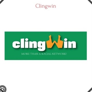 Проект ClingWin
