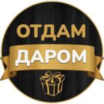 Отдам даром Владивосток