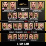 UFC Live 🥊