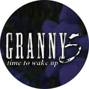Granny 5 Game