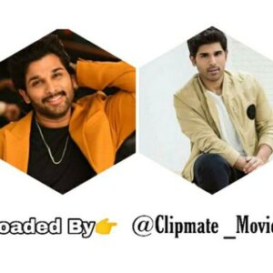 Allu Arjun Movies