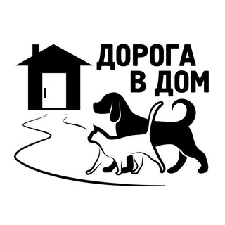 Остров надежды🐈‍⬛️🦮