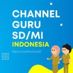 CHANNEL GURU SD/MI