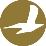 Cham Wings Airlines
