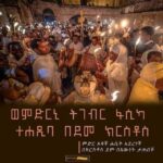 ኦርቶዶክስ ተዋህዶ