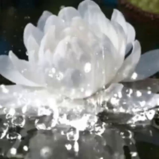 𝕳𝖊𝖗𝖟𝖊𝖓𝖘𝖜𝖆𝖍𝖗𝖍𝖊𝖎𝖙𝖊𝖓 🪷•*🧚‍♀️*☀️🕉☀️*🧚*•🪷