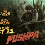 Pushpa Movie in hindi