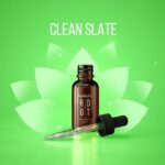 ROOT-BRAND Informationen & Erfolge