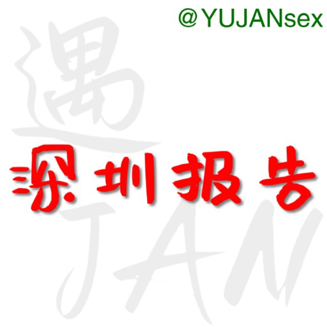 深圳修车大队报告