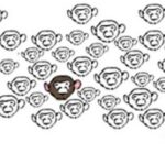 ahundredmonkeys.de
