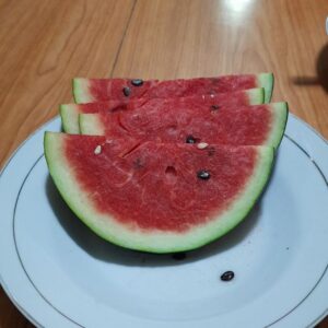 Aku Cinta Palestina