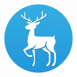 Dislive.me Videos Backup