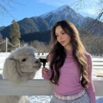 айсберг @icceeeberg