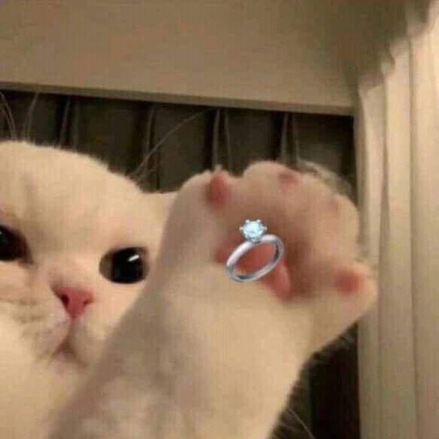 Пикчи для любви 💕