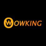 Official Announcement of OWKING Group