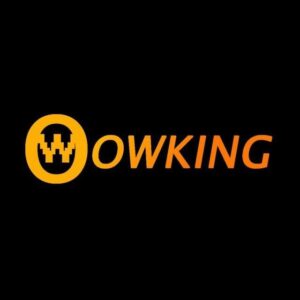 Official Announcement of OWKING Group