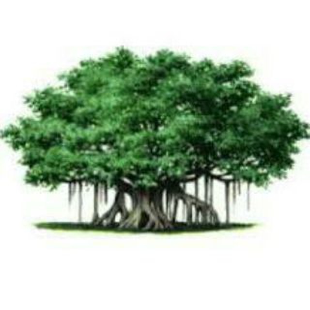 Channel Prasad - ప్రకృతివనం