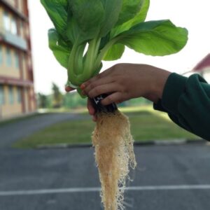 Soalan Percubaan Pertanian SPM