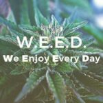 👑WeeDKk👑
