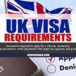 LUVA BRAVO, TEAM LETS GO