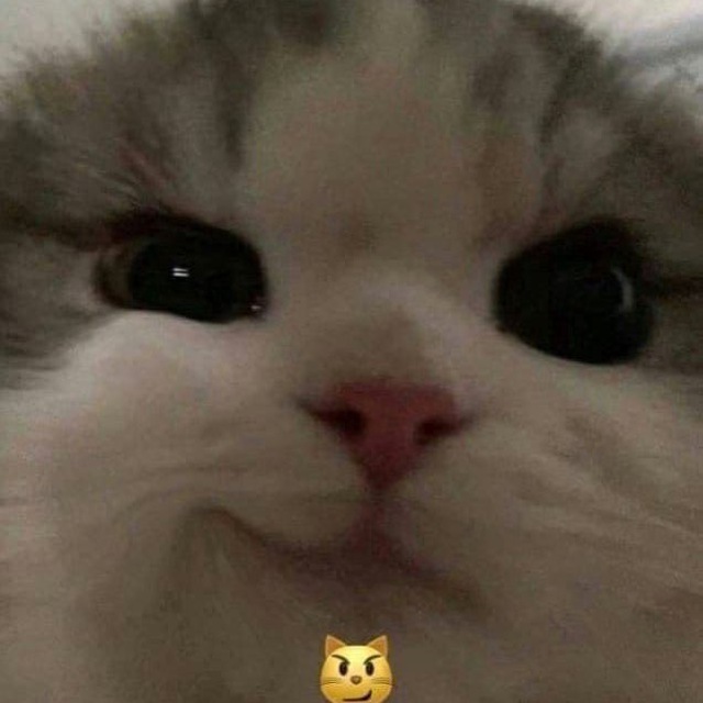 merstach