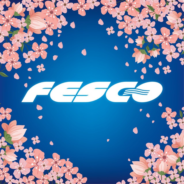 Транспортная группа FESCO
