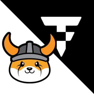 Floki & TokenFi Entry Portal