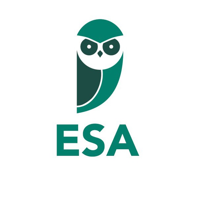 ESA - Estratégia Militares