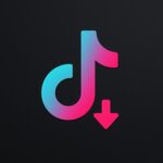 Tik Tok Downloader