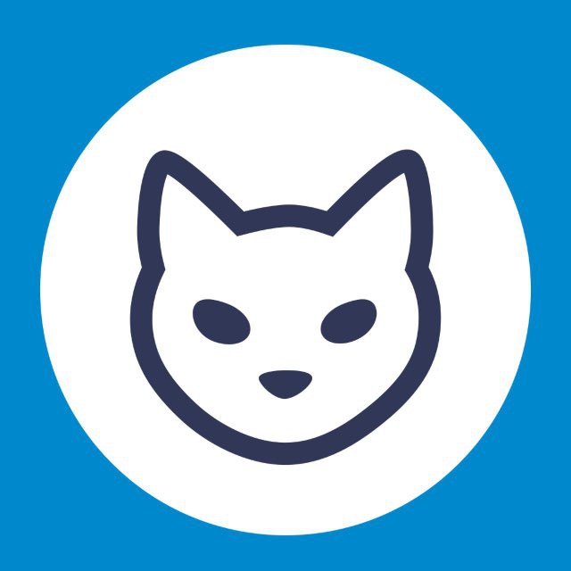 CAT — TON Validator, Apps and News